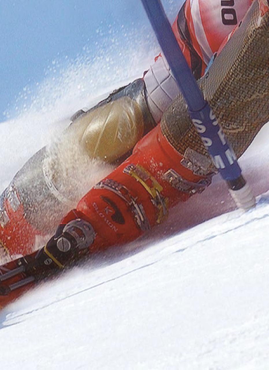 Sezona 2015/2016 je bila uspješna za Dinu Sokolovića. Dino je završio kao treći slalomaš u ukupnom poretku slaloma za svjetski kup, te kao jedanaesti skijaš na kraju u ukupnom poretku za svjetski kup.