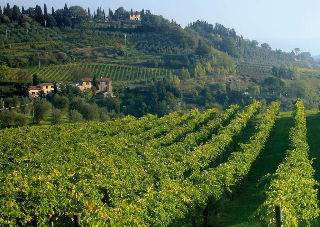 introduction to Borgo di Verardinga In the heart of the Tuscan Valdera, a region famed for its olive oil, wine and truffles, stands Borgo di Verardinga, a 19th century farmhouse now being converted