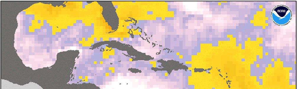 Bleaching of 50% - 90% of corals in: Florida -