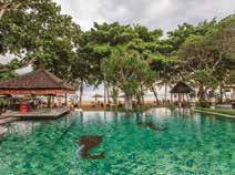 Sanur SANUR Essential Experiences Snorkel the reef which is teeming with sea urchins and lively schools of fish. Enjoy a tour of the impressive Bali Orchid Garden.