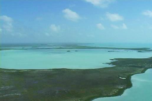 The coastline east of the southern point of Bulkhead Lagoon is the first coastal area to show a bedrock base within 2.