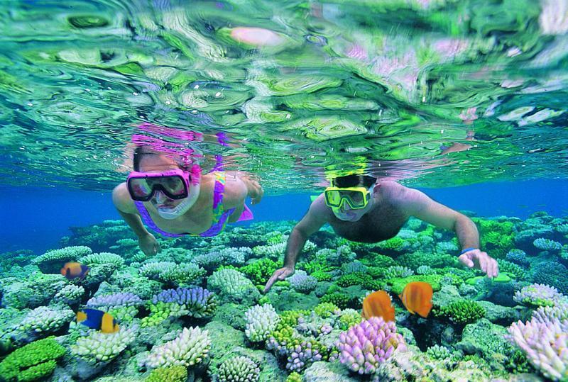 Tourism and industry 2 million visitors each year. Snorkeling and scuba diving. Sport fishing, sailing and island day trips. Commercial fishing, aquaculture. Life-saving scientific research.