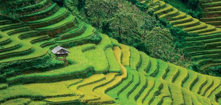 EXTENSION Hanoi and Sapa 6 DAYS 5 NIGHTS Inclusions: One-way Economy Class airfare (incl.
