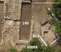 Our excavations revealed the southwestern wall of Room 740 (Wall 80004) in Square 81, complete with intact mud bricks placed on a stone socle and still covered with an in situ thin layer of wall