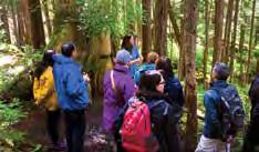 Rainforest Canoe Adventure & Nature Trail KETCHIKAN MAY SEPT. 3-1/2 hrs. A scenic motorcoach tour will lead you to a secluded mountain lake, surrounded by the Tongass National Forest.