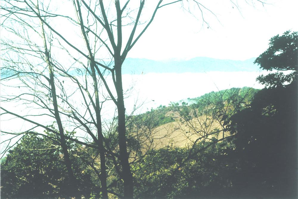 Ecotourism and Climate in Yunnan, South China 105 Fig. 3 Fog layer (upper limit is 1,150 m a.s.l.) formed in the basin near Mengla, South Yunnan. (Photo by Yoshino at 11:00 on 17 December, 1984) 1999.