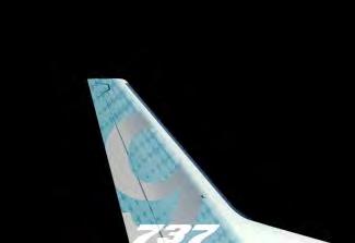 (TRE/TRI/LTC) 737 Line Crews & Reserves 737 Chief Pilot and staff 737 Technical Pilots 737 Pilot Trainers 737 Line