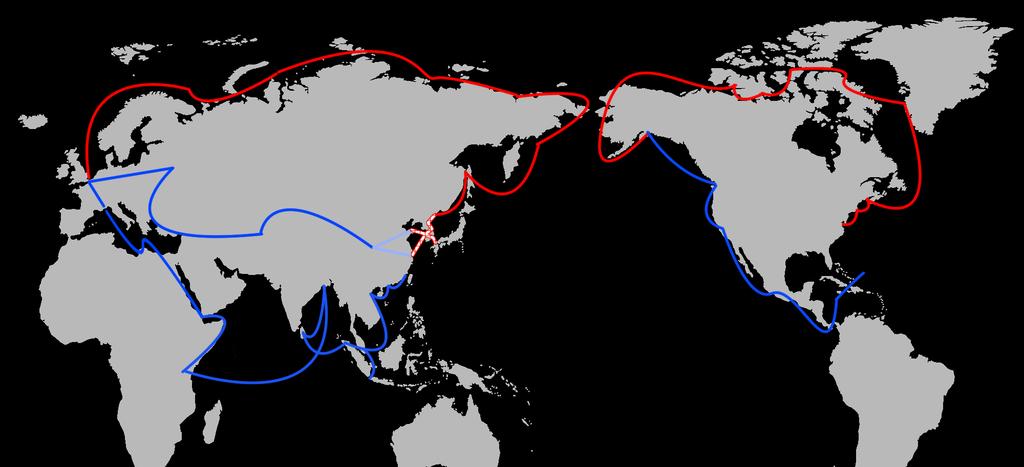 Agenda 03 Butterfly Project Northeast Asia: The Starting Point of One Belt One Road, North Pole Route and the Northwest Passage STEP 5 Butterfly project Northeast Asia is the body of
