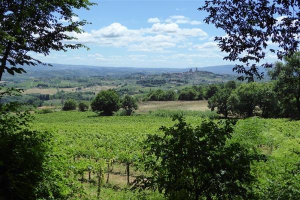 The walking distance is approximately 18km (11 miles). On arrival in Gambassi we will be met by private transport to take us on to San Gimignano where we stay two nights.