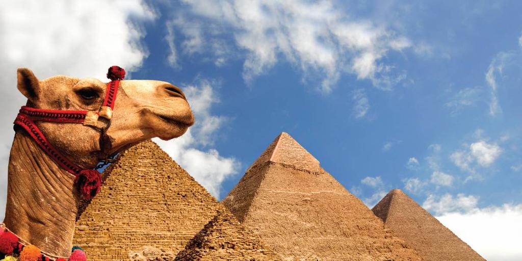 8 days Cairo to Luxor Egypt at its best! A one week family holiday with camel riding, boating on the Nile, a visit to a village school, pyramids, tombs and Tutankhamen s treasure.