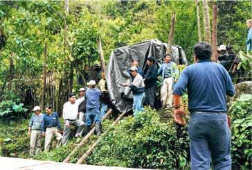 In a similar way on November 5, 2002, an adult male specimen was welcomed at the Inkaterra Machu Picchu Hotel, 11 years old, weighing 220 kilos and 2 meters tall.