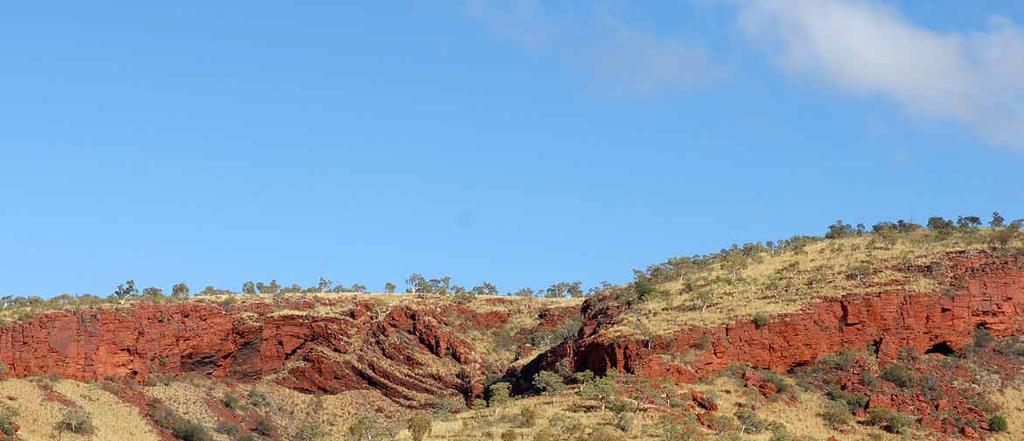 Pilbara Iron Ore Project WESTERN AUSTRALIA Forging ahead UK Investor Presentation Gary Sutherland,