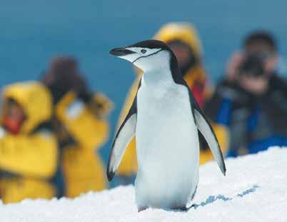 Fly/cruise voyages For those who aren t keen on crossing the unpredictable Drake Passage, or would rather start and finish in the south of Chile, we have a number of exciting Antarctic adventures for