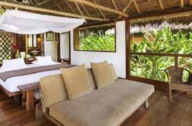 A stay in a jungle lodge is a way to experience the beauty of the Amazon basin as you enjoy the sounds, smells and sights of the jungle, where monkeys play in the forest canopy and jaguars prowl on