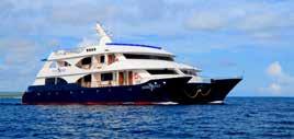ECUADOR Lower deck standard $3,418* basis on full board from the Galapagos Islands Daily excursions with a naturalist guide Fuel surcharge Tourist Transit card M/C CORMORANT The M/C Cormorant is a