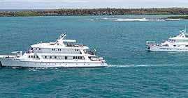 basis on full board from the Galapagos Islands Daily excursions with a naturalist guide Fuel surcharge Tourist Transit card ECUADOR Standard Cabin $2,397* M/Y GALAPGOS LEGEND This