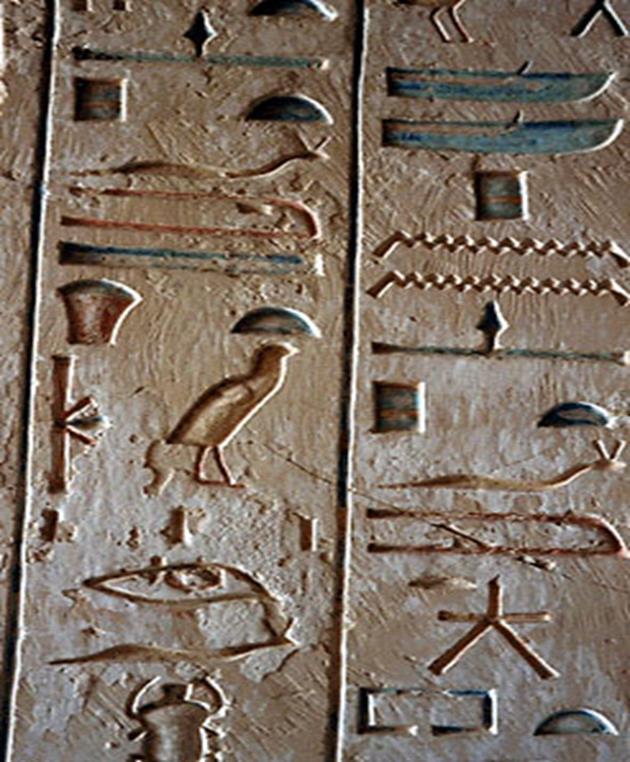 Hieroglyph The word HIEROGLYPH literally means "sacred carvings". The Egyptians first used hieroglyphs for inscriptions carved or painted on temple walls.