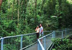 Spirit of Queensland Holiday Packages Daintree Four Mile Beach, Port Douglas SPIRIT OF QUEENSLAND 8 Day Port Douglas Escape Spirit of Queensland Port Douglas Sunset Sail Cape Tribulation and Daintree