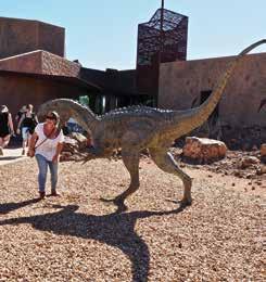 Sunset Dinner Tour Australian Age of Dinosaurs Tour Day 1: Spirit of the Outback Brisbane to Longreach Depart on the Spirit of the Outback and be captivated as the landscape changes on this