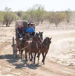 Experience Qantas Founders Museum Outback Pioneers Cobb & Co Stagecoach Experience Day 1: Spirit of the Outback Brisbane to Longreach Depart on this fascinating rail journey.