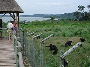 8 Day/7 Night Best of Uganda Lodge Safari 2015 Detailed Itinerary: Please note that itinerary and accommodation may vary depending on availability.