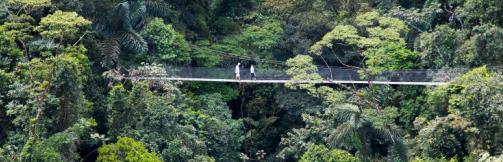 During your stay at Arenal, you will visit the Arenal Hanging Bridges. This is a complex of suspension bridges and trails through an amazingly beautiful rainforest.