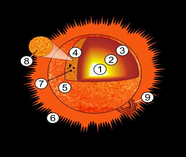 1.1 Sastav Sunca Sunce dijelimo na veći broj slojeva, a granice među njima nisu jasno ocrtane i postoje prijelazna područja.