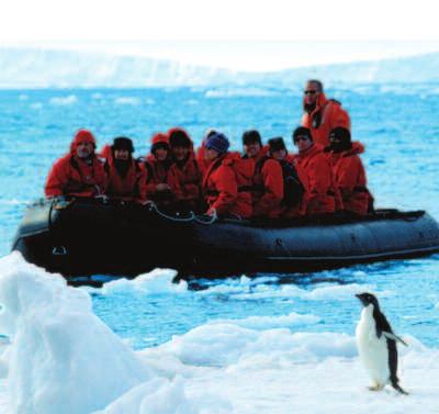 Wildlife Conservation The unique international Antarctic Treaty protects Antarctica s wildlife and its natural habitats and provides a guide for visitors to this great continent, where no country has