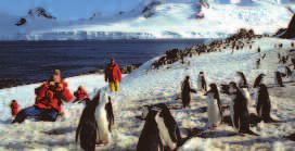 It is nestled among glistening of the area s flourishing colony of mountain peaks as high as 6,000 feet, and Adélie penguins, who may approach the surrounding grounds are populated by you for an
