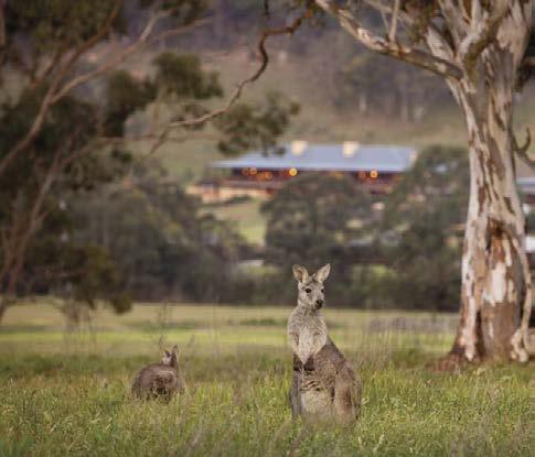 Formed in 2010, Luxury Lodges of Australia is a membership association offering a collective voice for these lodges and camps.