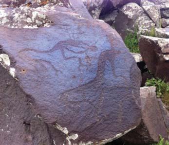 The collection of these rock carvings arouses a great deal of interest