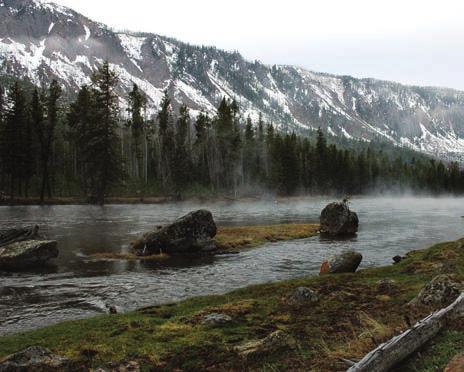 Park, United States of America WCS has been working in Yellowstone National Park since the early twentieth century, when we established the American Bison Society to restore the species across its