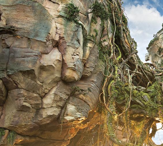 DISPATCH TO PANDORA The magic of nature comes alive in this otherworldly adventure This summer, Walt Disney Imagineers are making it possible to transport Guests to visit Pandora The World of AVATAR.