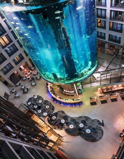 cylindrical aquarium. This towering centerpiece is a stunning sign that you re in for a special stay.
