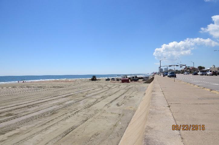 2015 Habitat Restoration at Babe s Beach 61st Street to 75th Street restoration of coastal beach habitat