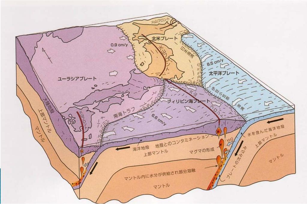 Eurasian Plate 0.9 cm/y Pacific Plate 8.5cm/y [ 全国地質調査業協会連合会 : 豊かで安全な国土のマネジメントのために,1998 年,p.