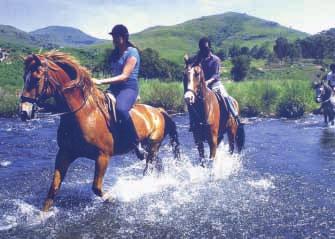 Highveld lake and grassland rides from Ermelo, Chrissiesmeer and at a number of smaller centres and farms.