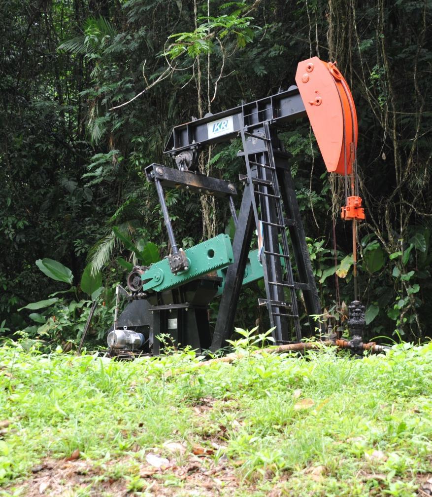 Goudron Field Goudron is located in primary rainforest in the Trinity Hills Typical well (GY-233) Produces light sweet oil (average 38 o API) Discovered in 1927 the field has a long history, but only