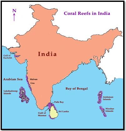 Review of Coral Reefs of India: Distribution... 3090 formation of our waters. The total area of coral reefs in India is estimated to be 2,375 sq. km (DOD and SAC, 1997).