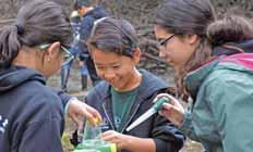 Ranger and join us to explore wildlife, habitats and history FREE! Jr. Rangers hike, play games and participate in activities that help build lasting relationships with nature. Jr. Ranger Programs run each spring and fall in various Santa Clara County Parks.