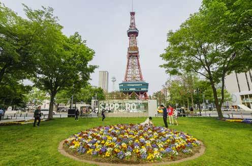 Odori Park with TV Tower.