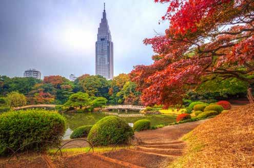 Autumn in the Shinjuku Park. 12.2 Key performance areas 12.2.1 Economic perspective Tourism employment Though the specific data for Tokyo is unavailable, data by Japan Tourism Agency 7 indicates that in 2015 there were 6.