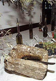 Dogodki Punat - vse v znamenju oliv Punat na otoku Krku že tradicionalno v oktobru organizira prepoznavno turistično-gostinsko prireditev Dneve oliv, s katero se promovira oljkarstvo in oljčno olje