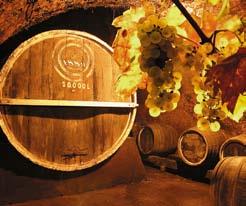The Wine Gang v Londonu predstavlja 45 hrvaških vin Britanski vinski kritiki, bolj znani kot skupina The wine gang, so pred kratkim obiskali Hrvaško in poskusili kar 280 vzorcev vin, ki jih ponuja 98