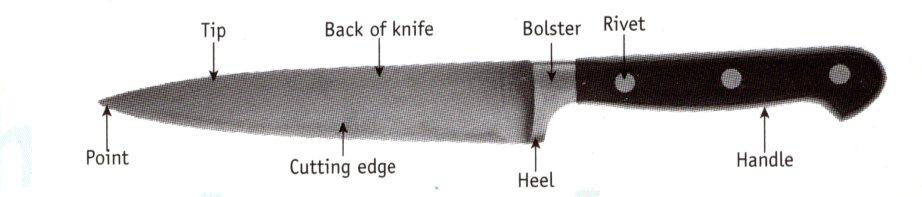 Use Food Preparation Equipment Knives Parts of a knife Knife-handling techniques * Grip: Hold the handle of a chef s knife tightly with fingers curled and up against the heel of the knife.