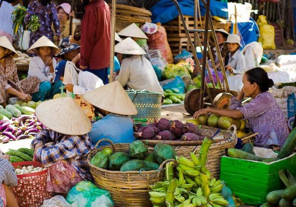 Often referred to as the rice bowl of Vietnam, the fertile Mekong Delta is famous for its abundant harvests of tropical fruits, flowers and rice, as well as it fantastic views while boating along the