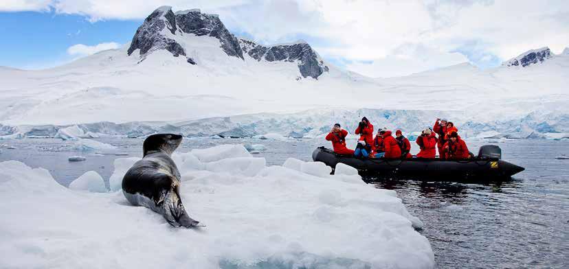 ANTARCTICA DEEP SOUTH GO FURTHER SOUTH THAN ANY OTHER JOURNEY A special journey taking you further south than at any other time in the season THEN HEAD NORTH AS WELL.