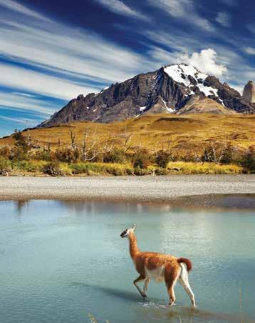 48 TOUR EXTENSIONS EXTEND YOUR HOLIDAY Take a deeper look at the amazing continent of South America on a four day extension to the Atacama Desert or southern Chile s Patagonia.