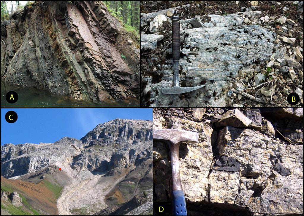 Figure DR3 - Photomontage of the Tindir Group: a) lower diamictite with ironstone along Hard Luck Creek; b) cap carbonate with bed parallel cements near border; c)