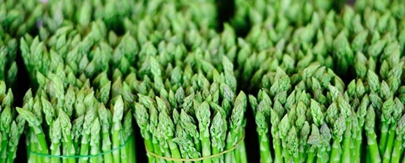 asparagus Lima